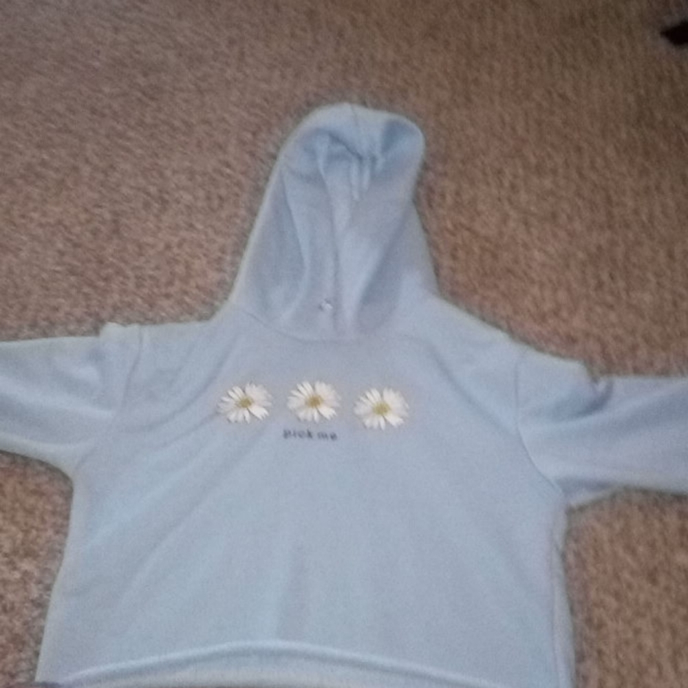 Pick me croped hoodie